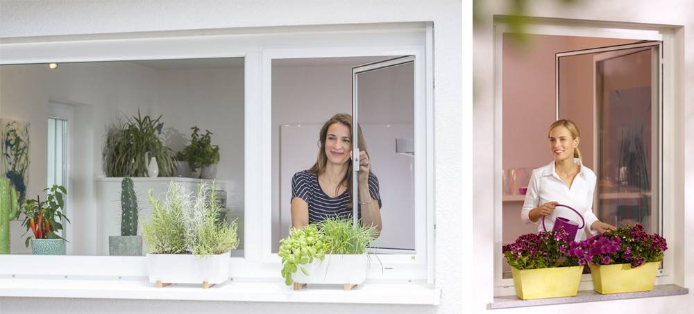 Frau öffnet ein Insektenschutzgitter und schaut aus dem Fenster