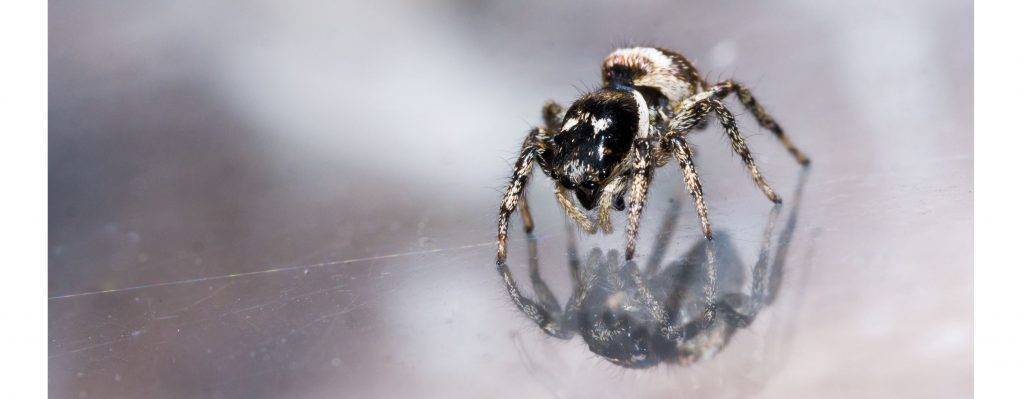 Muss man Insektenschutzgitter im Winter entfernen?