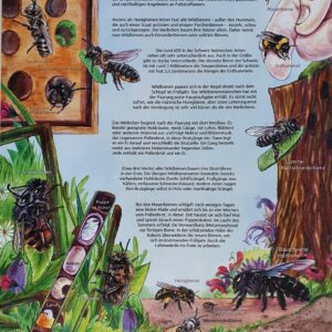 Wildbienen Nisthilfen Infotafel