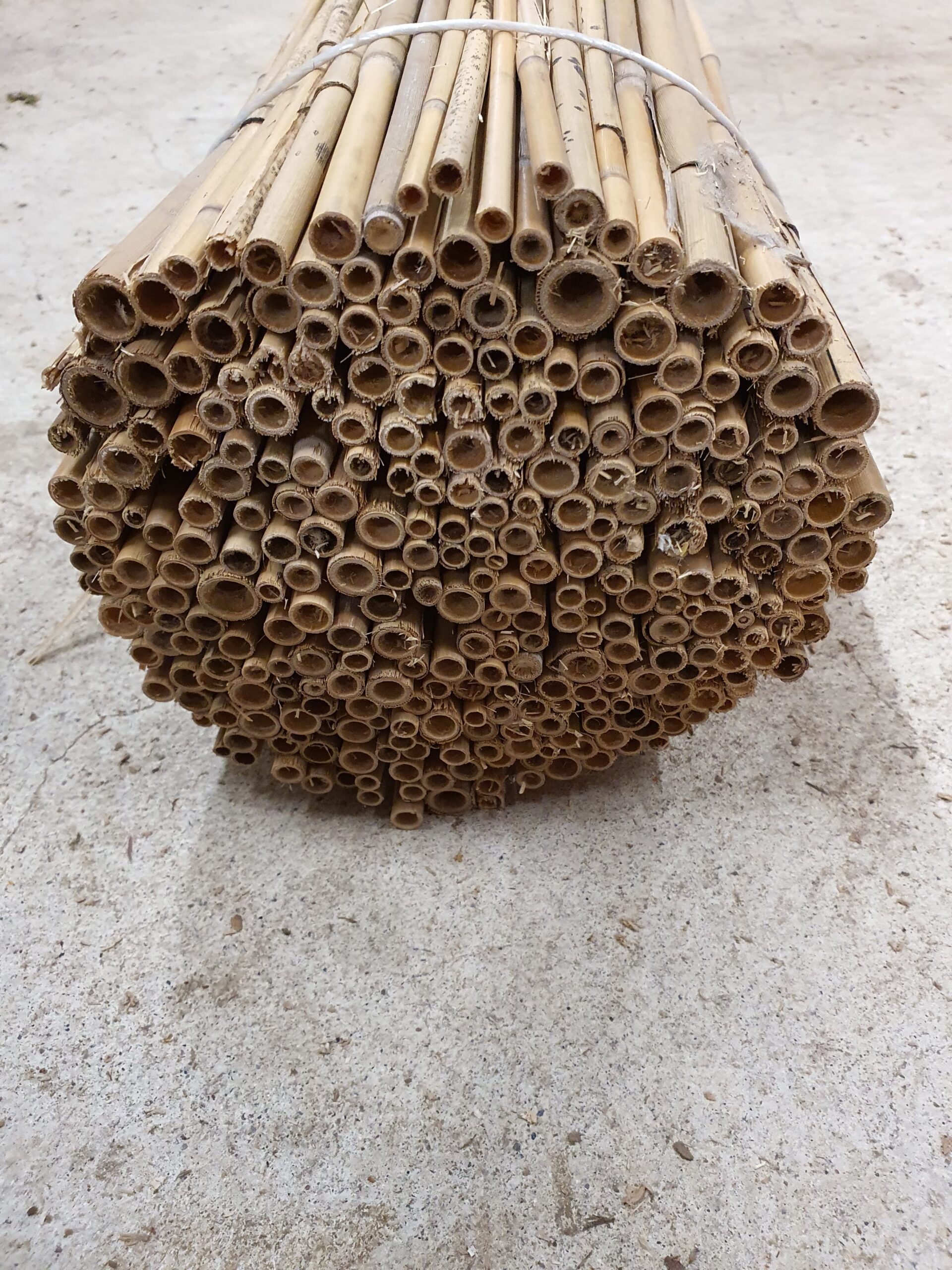 Schilfrollen – Bild 3