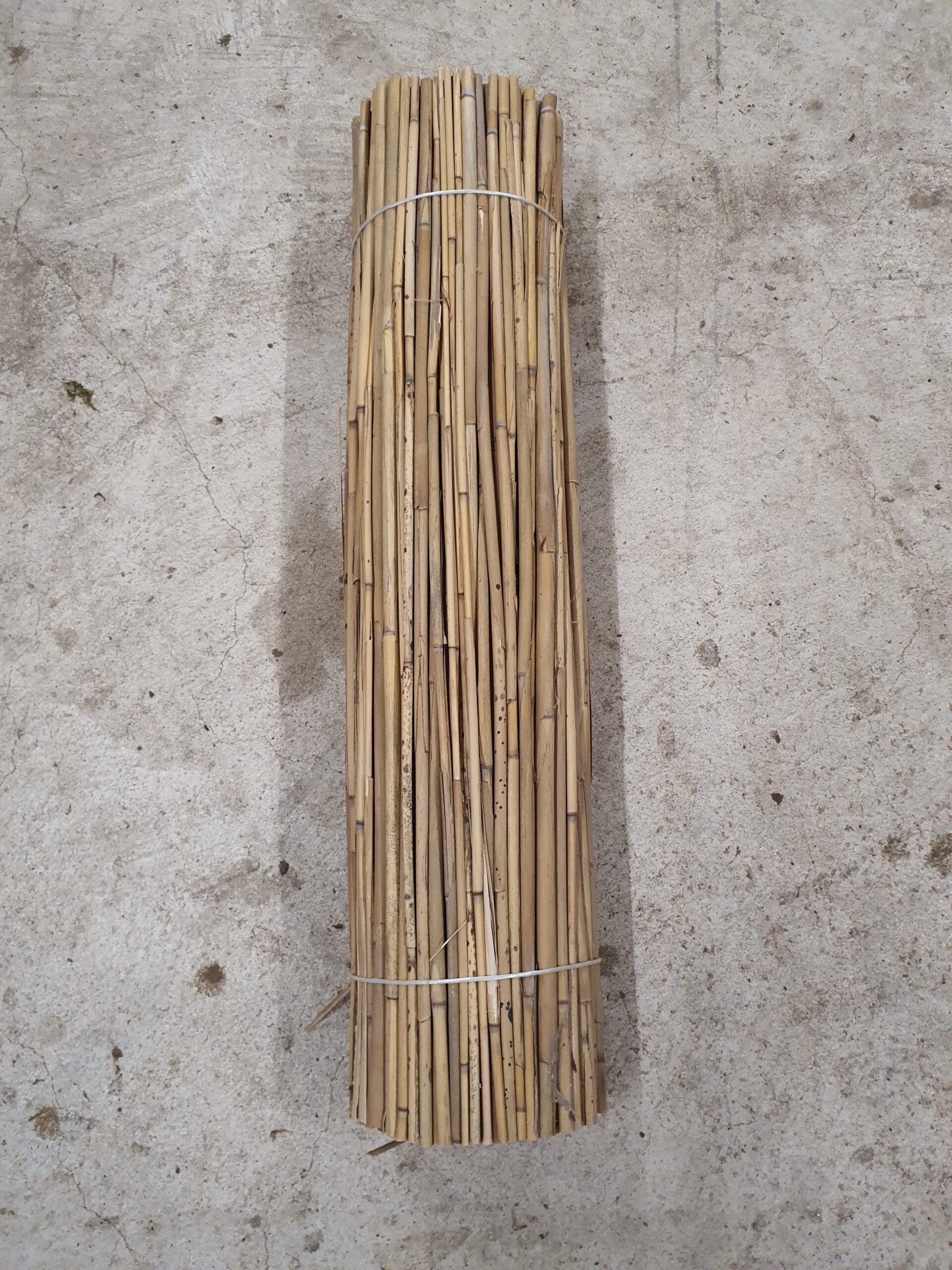 Schilfrollen – Bild 4