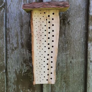 Insektenhotel „kleiner Hans“