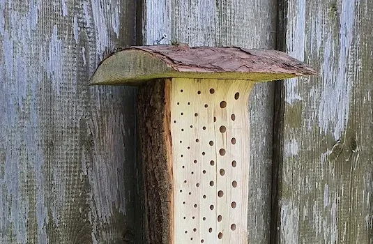 Kleine Wildbienen-Nisthilfe aus einem naturbelassenen Holzblock mit Bohrlöchern an einer Holzwand