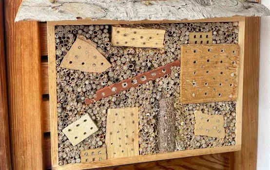 Zwei Wildbienen-Nisthilfen aus Holz und Naturmaterialien, montiert an einer Holzfassade